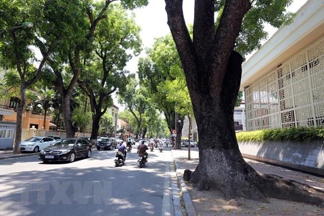 Dự báo thời tiết ngày 11/4: Bắc Bộ sáng có sương mù nhẹ và mưa vài nơi, trưa chiều trời nắng