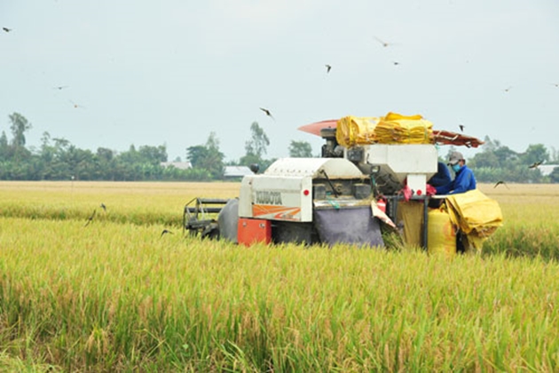 Để nông dân là chủ thể của quá trình phát triển nông nghiệp, nông thôn