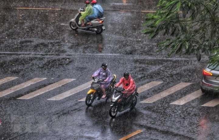 Dự báo thời  tiết ngày 25-01