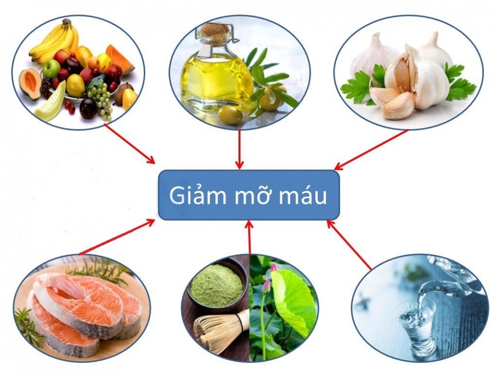 Dinh dưỡng đối với người bị mỡ máu cao
