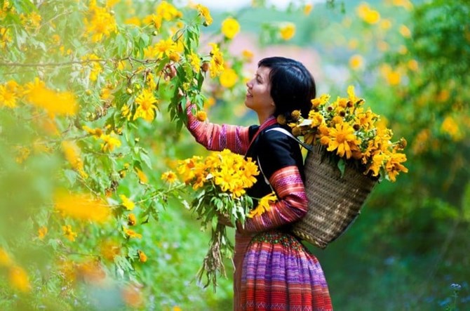 Mùa hoa dã quỳ: Ngời sáng phẩm chất người chiến sỹ công an nhân dân