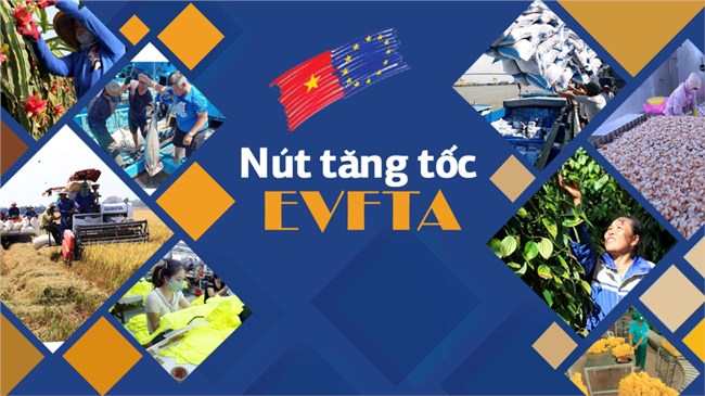 Cần “phương tiện” phù hợp cho “Cao tốc” EVFTA - Bài 4 loạt bài: “Cao tốc" EVFTA và những nỗ lực sau 2 năm thực thi 