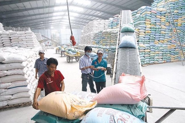 Xuất khẩu gạo của nước ta tăng trưởng cao nhất cùng kỳ 10 năm qua