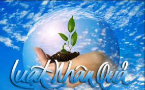 Vết sẹo: Tình yêu đâu phải trò đùa