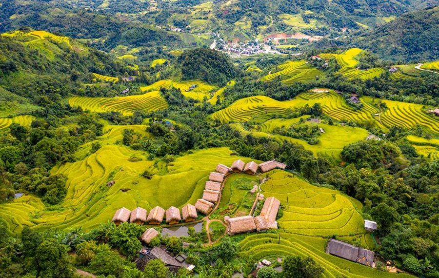  Ruộng bậc thang bản Phùng - Mê mẩn vẻ đẹp như mơ