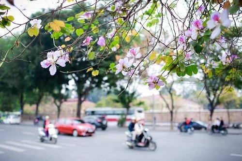 Dự báo thời tiết ngày 12/12: Miền Bắc sắp đón đợt không khí lạnh rất mạnh, trời rét đậm