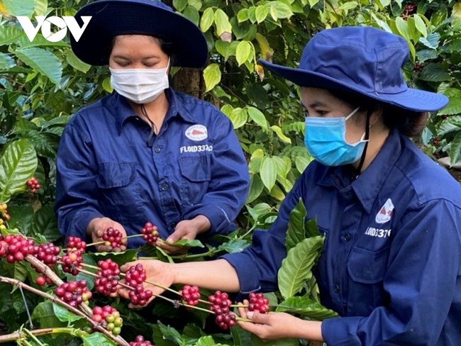 Kết nối, mở rộng thị trường tiêu thụ hàng hóa vùng đồng bào dân tộc thiểu số và miền núi