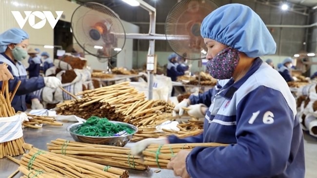 Hình thành chuỗi cung ứng, tiêu thụ sản phẩm vùng đồng bào dân tộc thiểu số và miền núi 