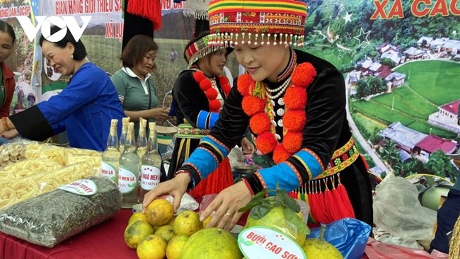 Kết nối giao thương, thúc đẩy tiêu thụ sản phẩm, hàng hóa tiềm năng của khu vực miền núi, vùng sâu, vùng xa và hải đảo