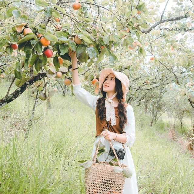 Kết nối yêu thương: Mùa thu đến rồi, em có nhớ?