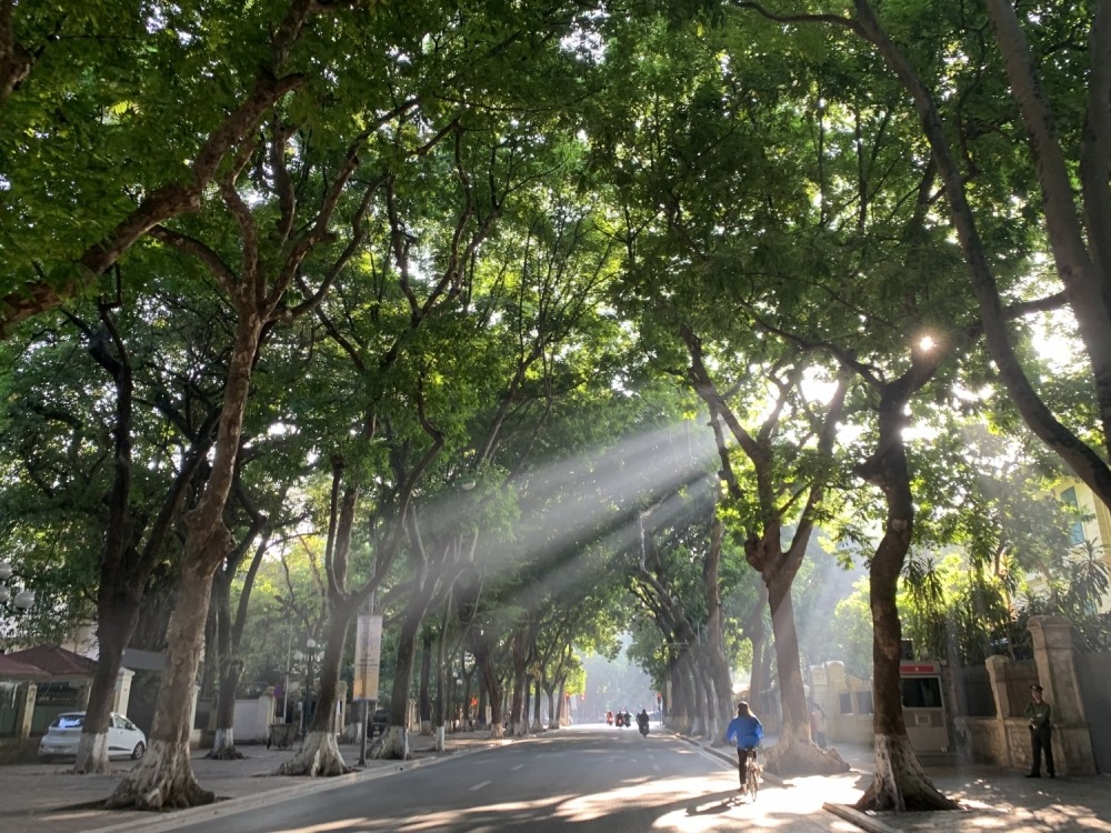 Dự báo thời tiết ngày 8/12: Bắc Bộ và Bắc Trung Bộ ngày nắng, đêm và sáng trời rét
