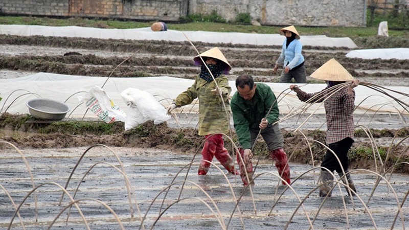 Dự báo thời tiết ngày 12/12: Bắc Bộ rét đậm diện rộng, vùng núi rét hại có nơi 3 độ