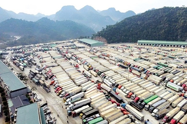 Xuất khẩu hàng hóa sang Trung Quốc khởi sắc