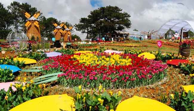 Đà Lạt lọt vào nhóm 5 thành phố festival ấn tượng của Châu Á