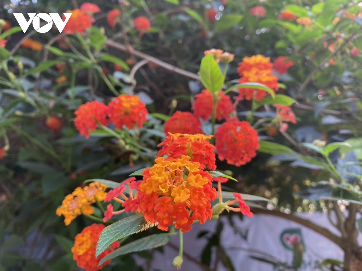 Dự báo thời tiết ngày 16/4: Tây Bắc nắng nóng gay gắt, có nơi trên 39 độ C