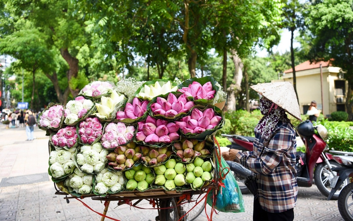 Dự báo thời tiết ngày 13/6: Hà Nội ngày nắng nóng gay gắt, chiều tối và đêm có mưa