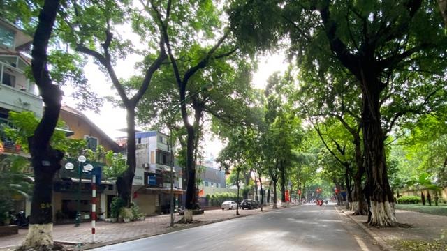Dự báo thời tiết ngày 14/12: Bắc Bộ rét về đêm và sáng, ngày nắng nhẹ