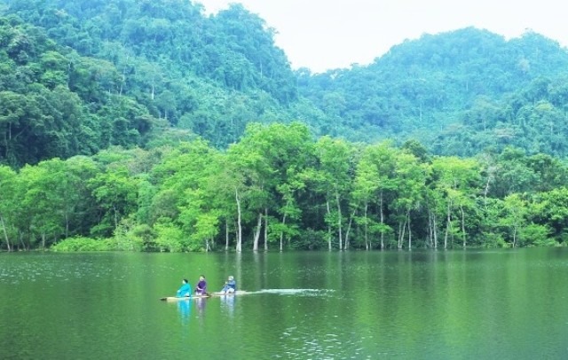 Nên thơ bản Bút Thanh Hóa