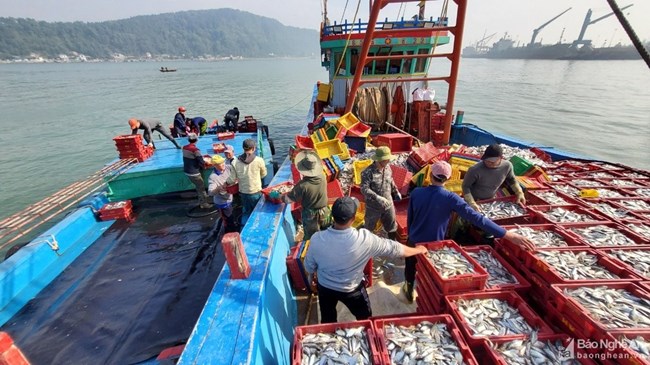 Ngư dân tại nhiều địa phương chuẩn bị cho chuyến “mở biển” đầu năm