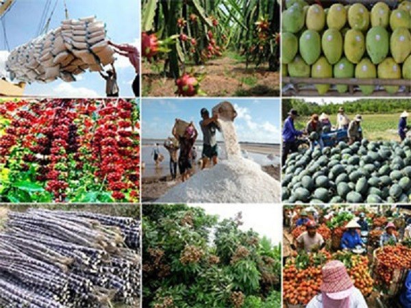 Nâng cao chất lượng chuỗi giá trị nông sản trong trạng thái bình thường mới 
