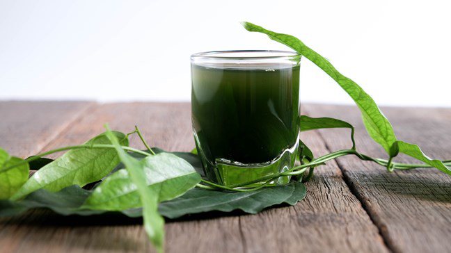 Diệp lục có tác dụng gì với sức khỏe người sử dụng