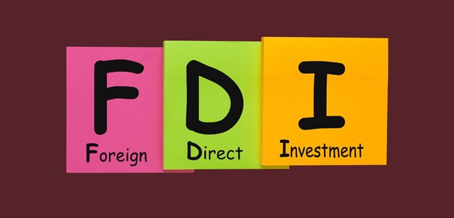 Vốn FDI chất lượng cao xu hướng chảy vào Việt Nam - Giải pháp nào hấp thụ hiệu quả ? 