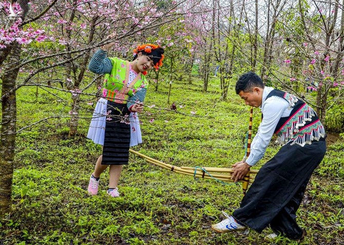 “Mùi rừng”: Khát vọng của người phụ nữ vùng cao