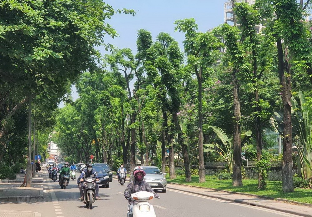 Dự báo thời tiết ngày 27/10: Bắc Bộ ngày nắng, đêm có mưa vài nơi