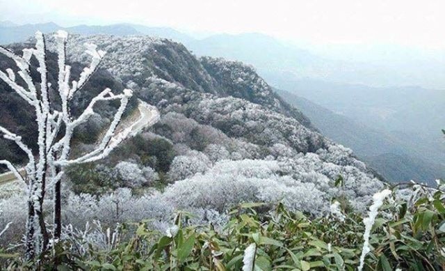 Dự báo thời tiết ngày 17/2: Miền Bắc trời rét, có nơi rét đậm