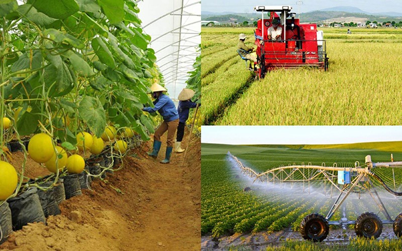 Sửa đổi Luật Hợp tác xã - động lực mới cho kinh tế tập thể