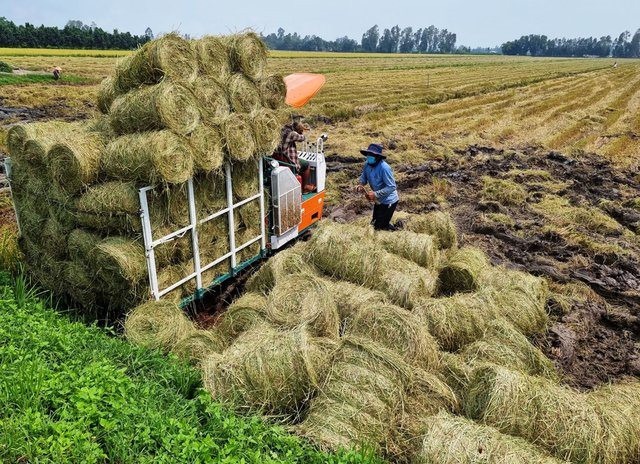 Nông nghiệp tuần hoàn: Lựa chọn hay xu thế tất yếu?