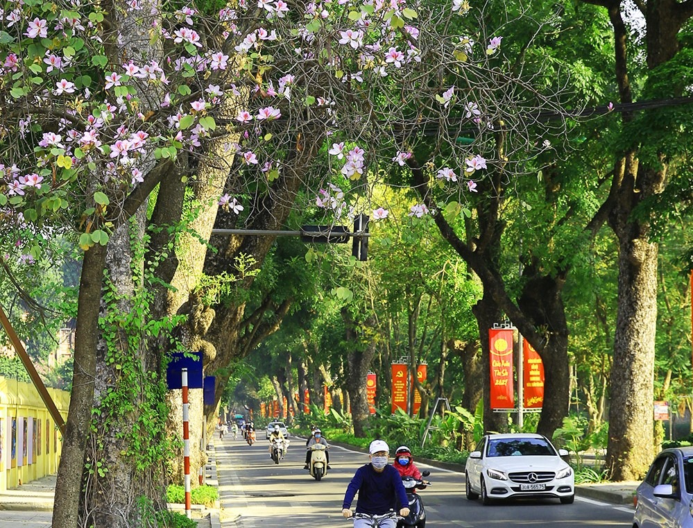 Dự báo thời tiết ngày 20/3: Hà Nội tăng nhiệt ngày đầu tuần