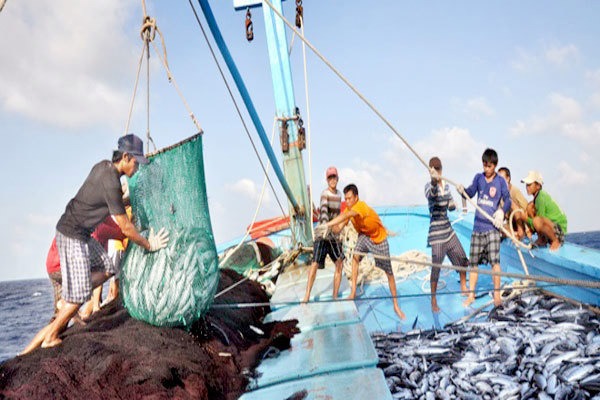 Ngăn chặn, loại bỏ tàu cá vi phạm IUU, nhanh chóng gỡ thẻ vàng EC