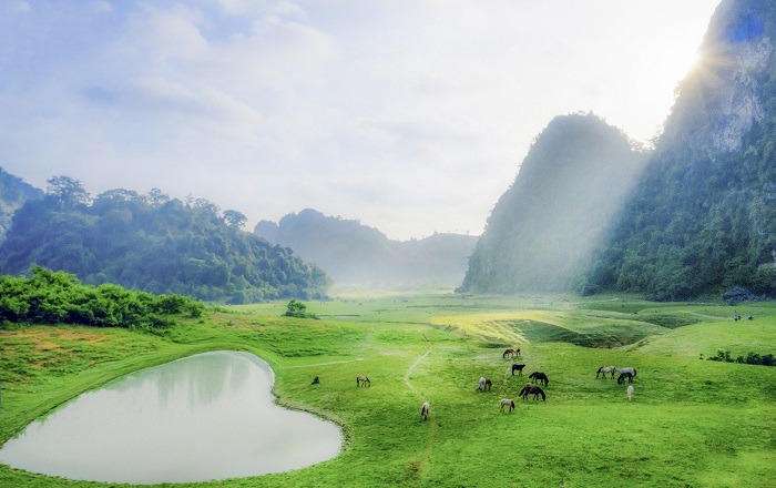 Thảo nguyên xanh Hữu Liên đẹp tựa thiên đường