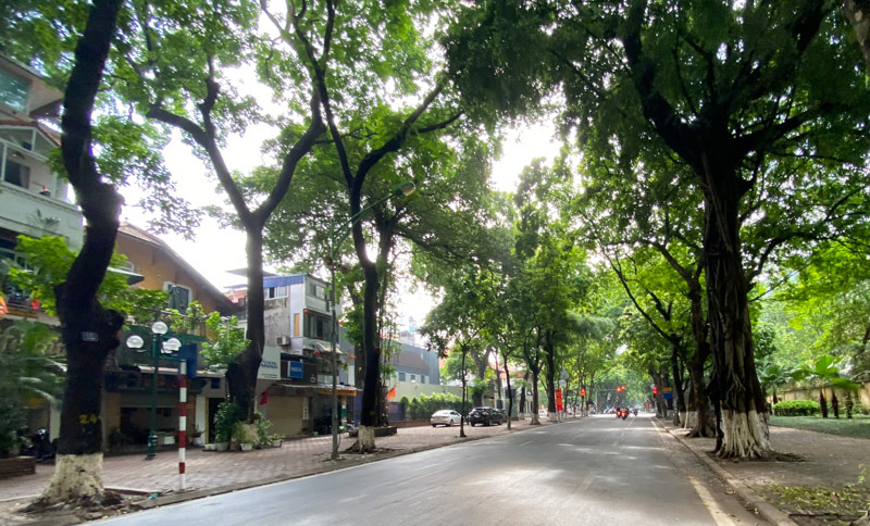 Dự báo thời tiết ngày 14/2: Không khí lạnh làm nhiệt độ miền Bắc có nơi giảm xuống dưới 8 độ