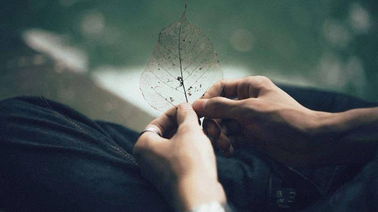 Làm thế nào để có được hạnh phúc trọn vẹn