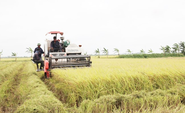 Phát huy vai trò làm chủ của nông dân trong quá trình phát triển kinh tế hợp tác xã 