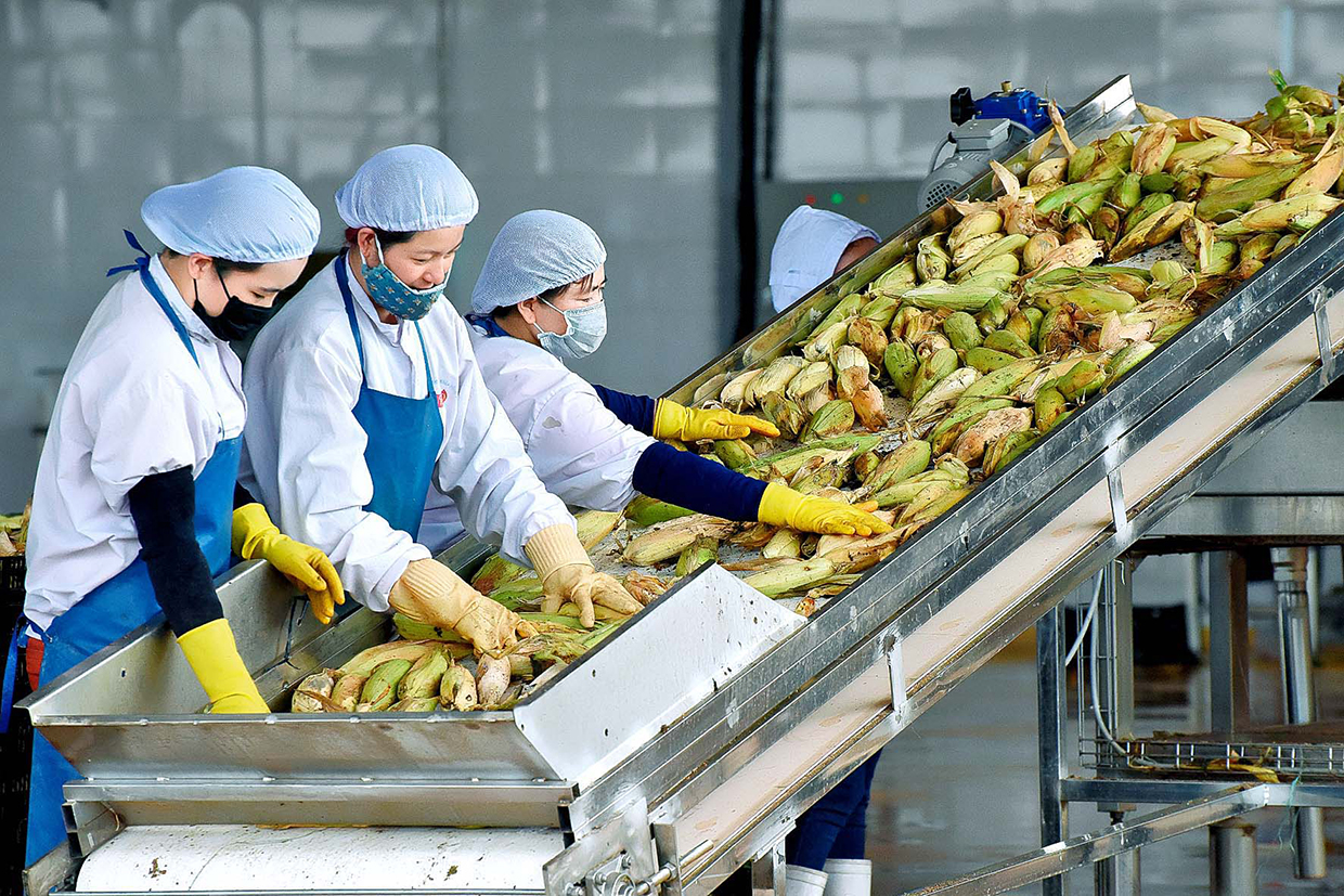 Tự chủ, tự cường phục hồi và phát triển kinh tế - Bài học từ thực tiễn