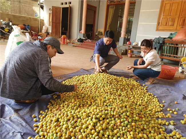 Trung tâm giao dịch tiếp sức giảm ùn tắc nông sản