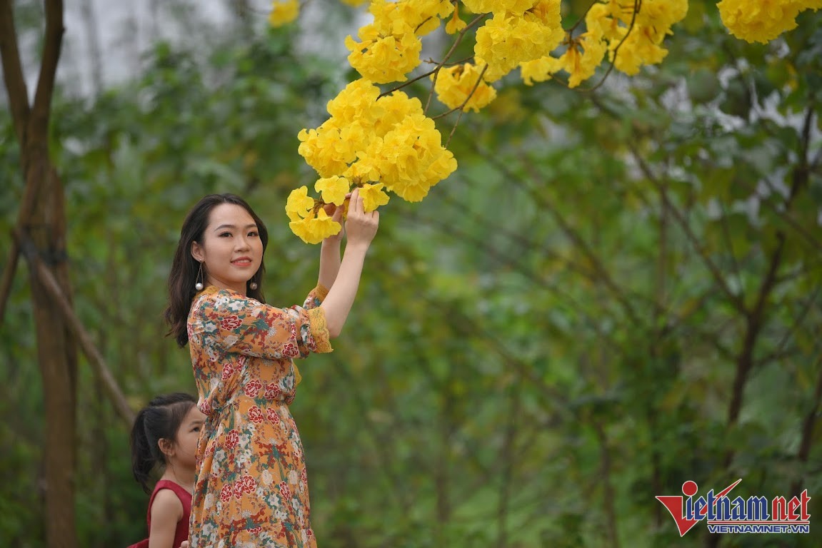 Dự báo thời tiết ngày 17/10: Miền Bắc nắng hanh, se lạnh, Trung Bộ hết mưa