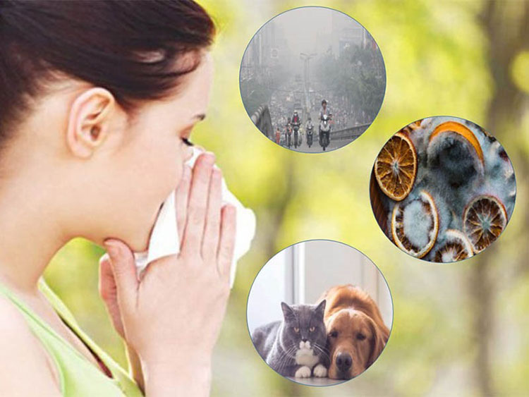 Phòng ngừa và điều trị bệnh viêm mũi dị ứng