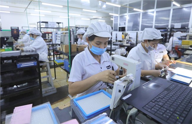 Hiệu quả từ các chương trình hỗ trợ doanh nghiệp nhỏ và vừa tiếp cận thị trường thế giới
