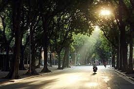 Dự báo thời tiết ngày 21/01