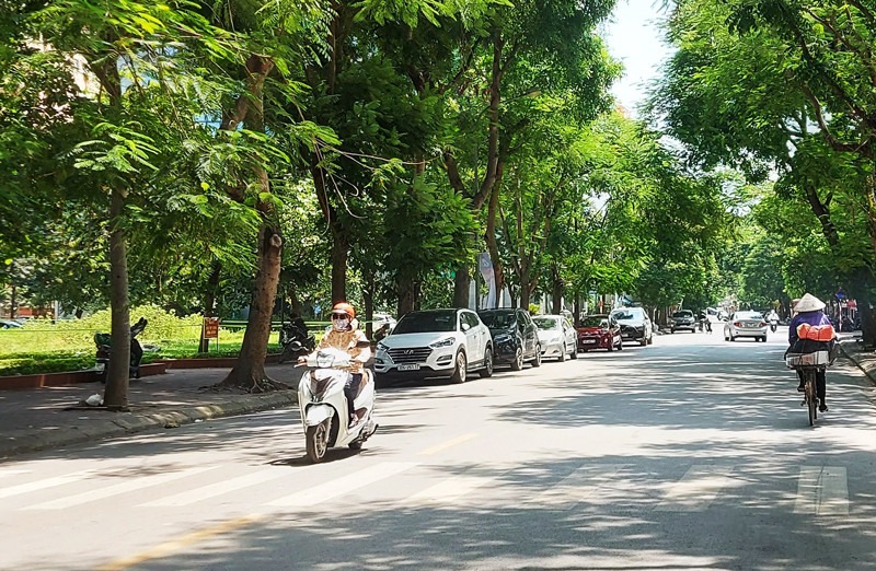 Dự báo thời tiết ngày 8/7: Bắc Bộ nắng nóng, mưa giải nhiệt vào chiều tối