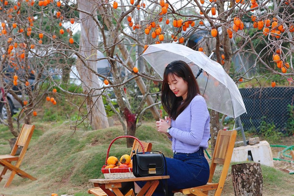 Dự báo thời tiết ngày 24/12: Hà Nội ngày nắng, đêm và sáng trời rét