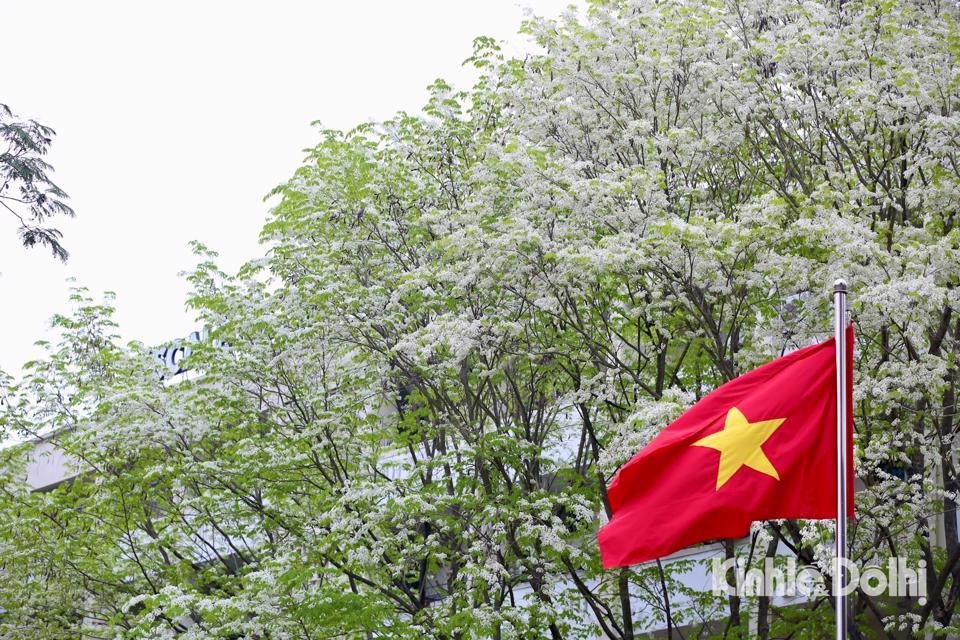Dự báo thời tiết ngày 21/2: Hà Nội gió đông bắc cấp 2-3, nền nhiệt tăng