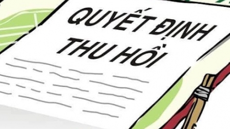 Đất khai hoang khi nào bị thu hồi?