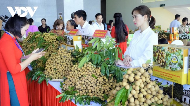 Nâng cao hiệu quả hoạt động xúc tiến thương mại, kết nối doanh nghiệp với thị trường