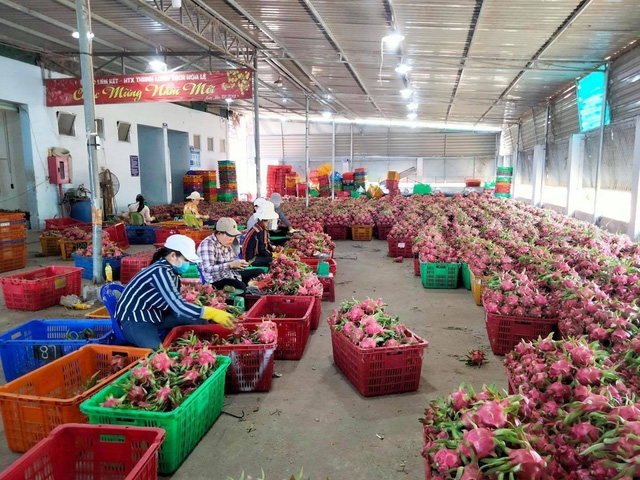 Gỡ nút thắt từ sản xuất đến thị trường xuất khẩu nông sản